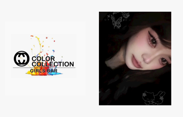 COLOR COLLECTION (カラーコレクション)