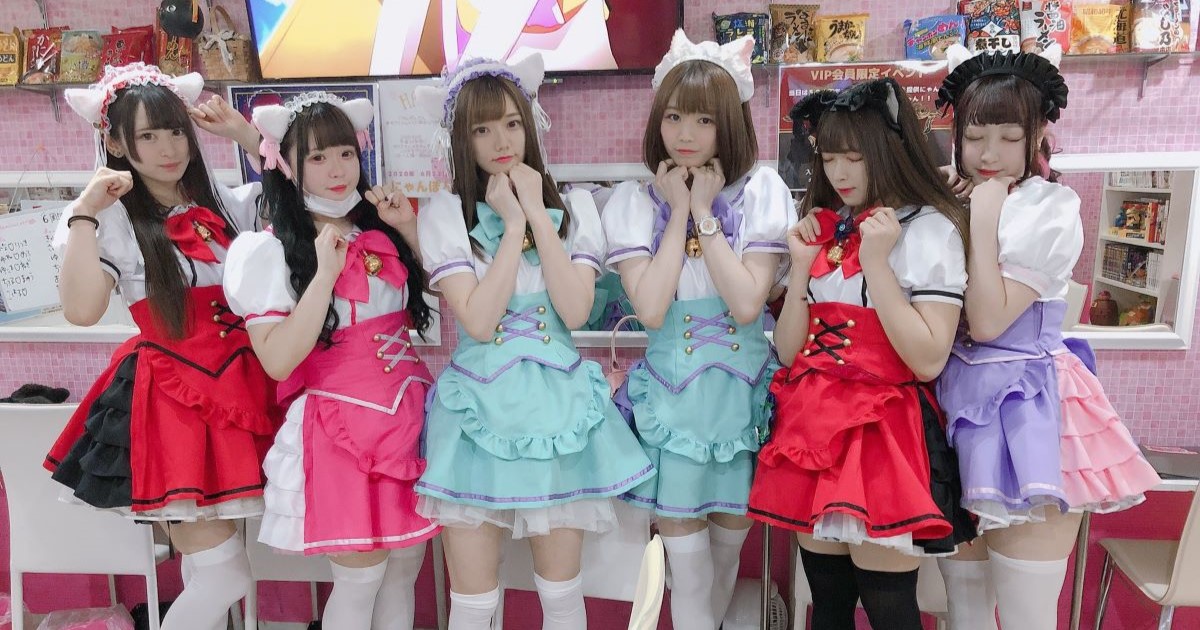 にゃんぽんたん